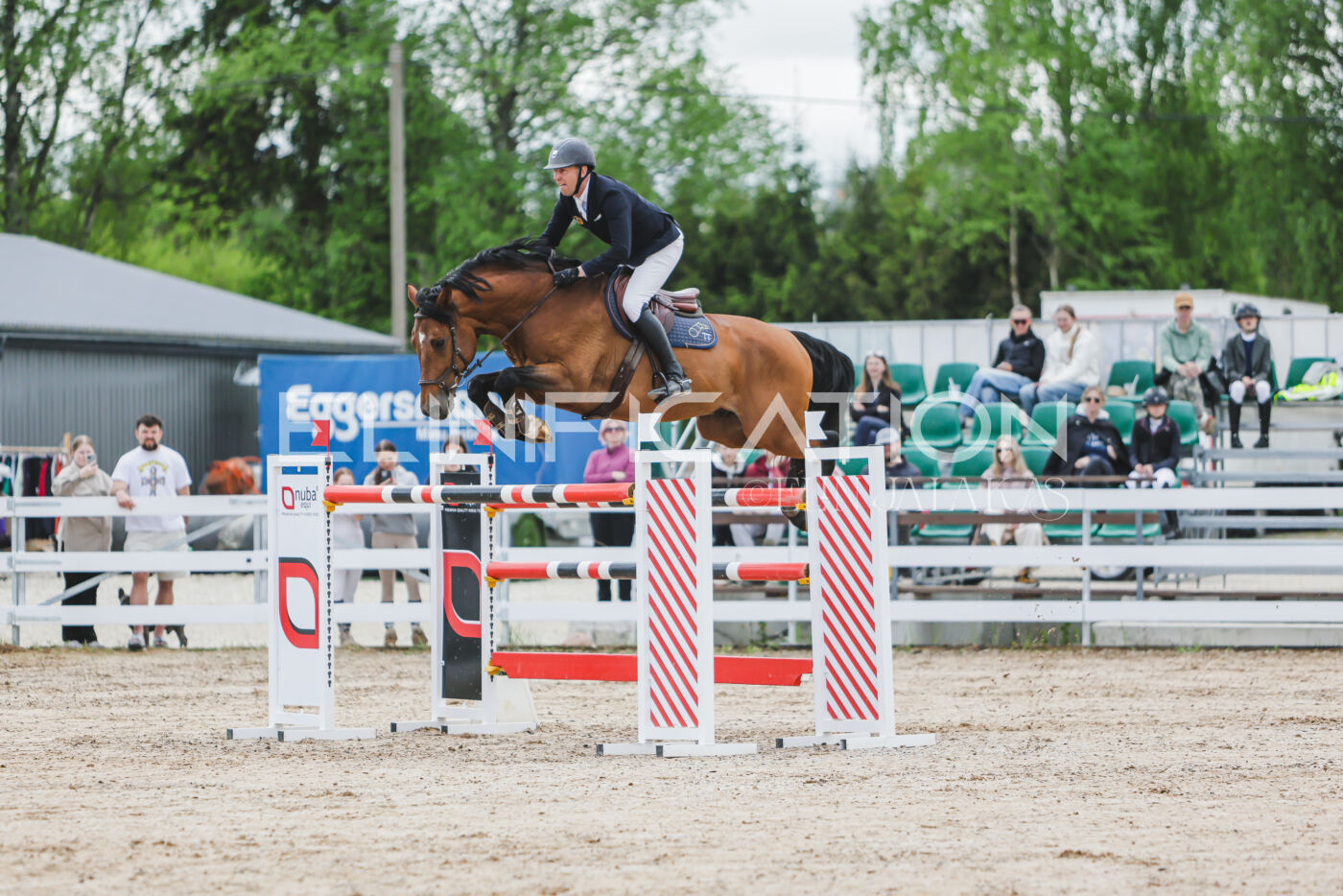 Gramina_Kevad_2026_140_003