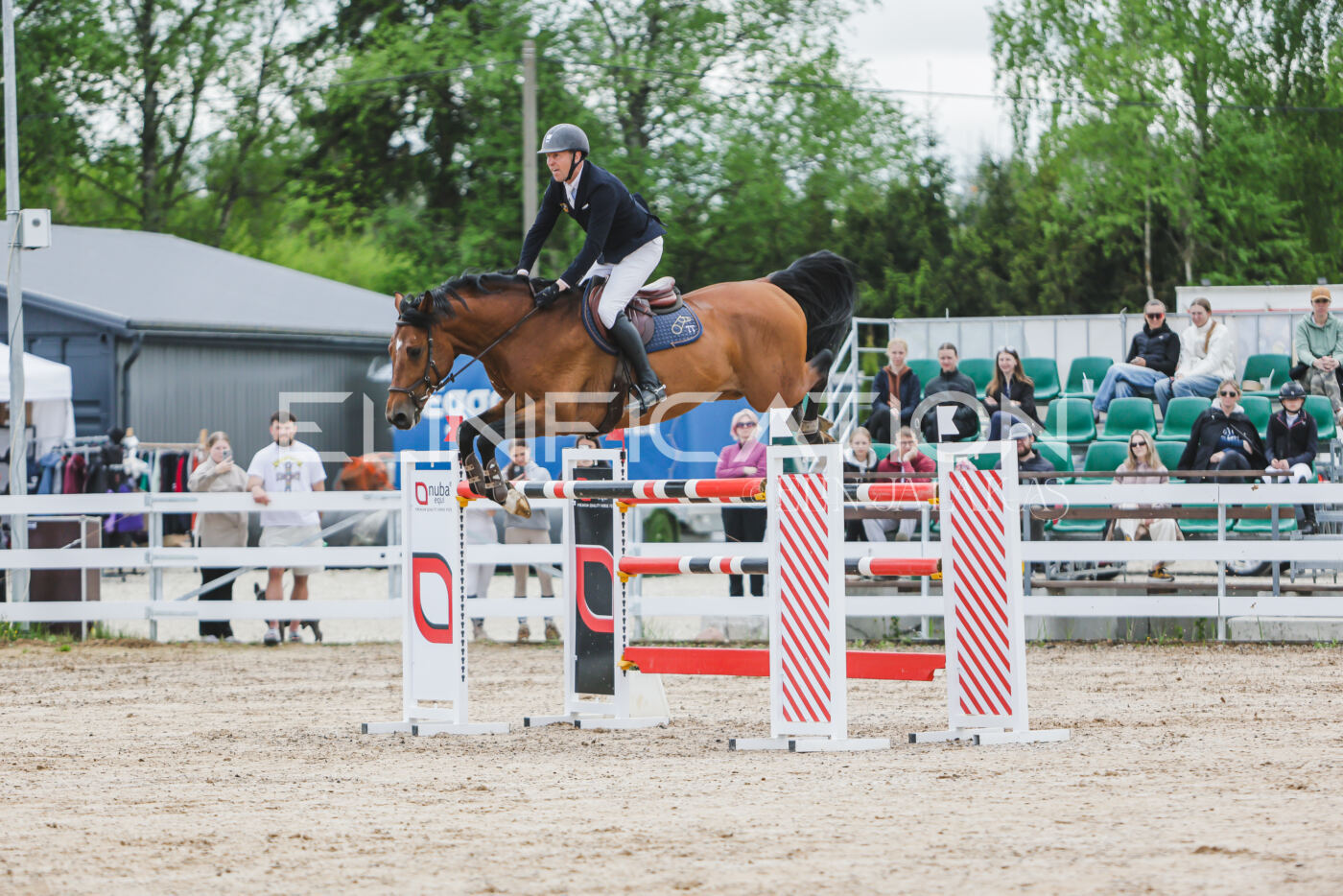 Gramina_Kevad_2026_140_006