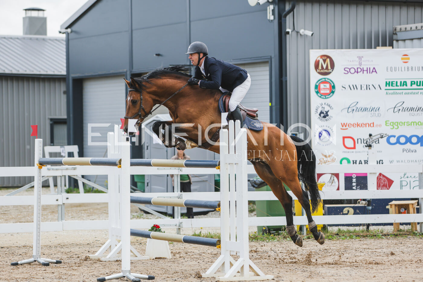Gramina_Kevad_2026_140_007