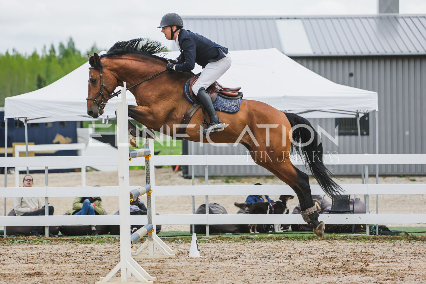 Gramina_Kevad_2026_140_017