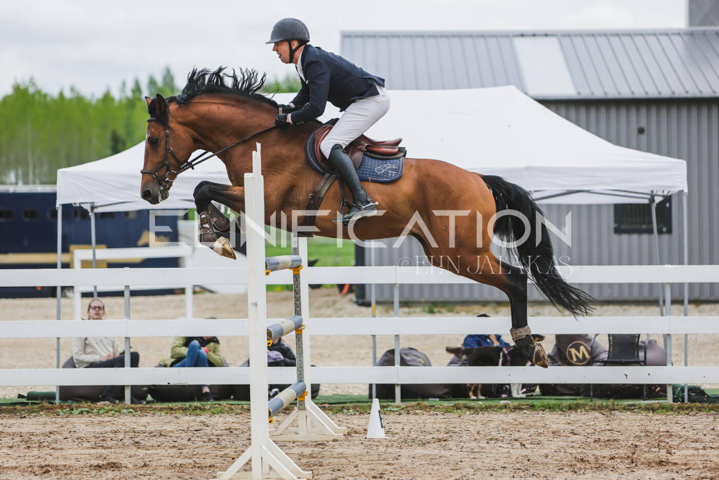 Gramina_Kevad_2026_140_018