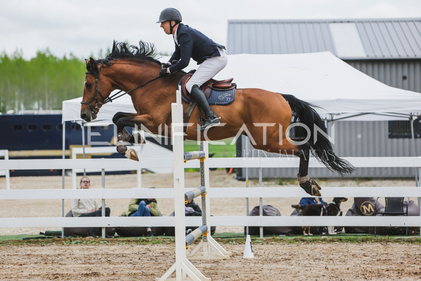 Gramina_Kevad_2026_140_019
