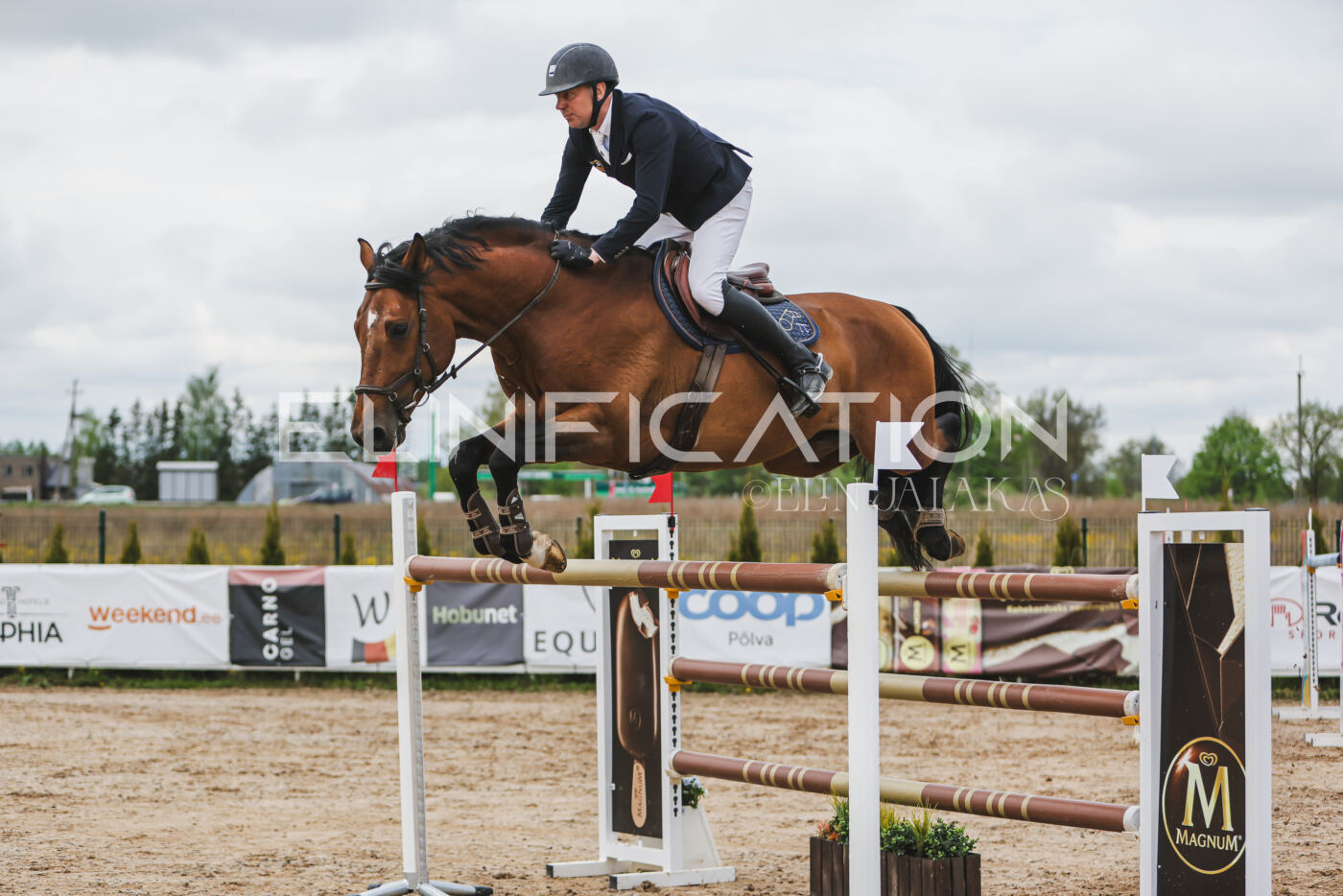 Gramina_Kevad_2026_140_026