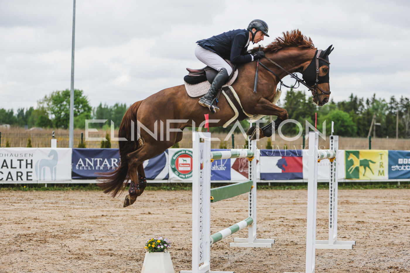 Gramina_Kevad_2026_140_027