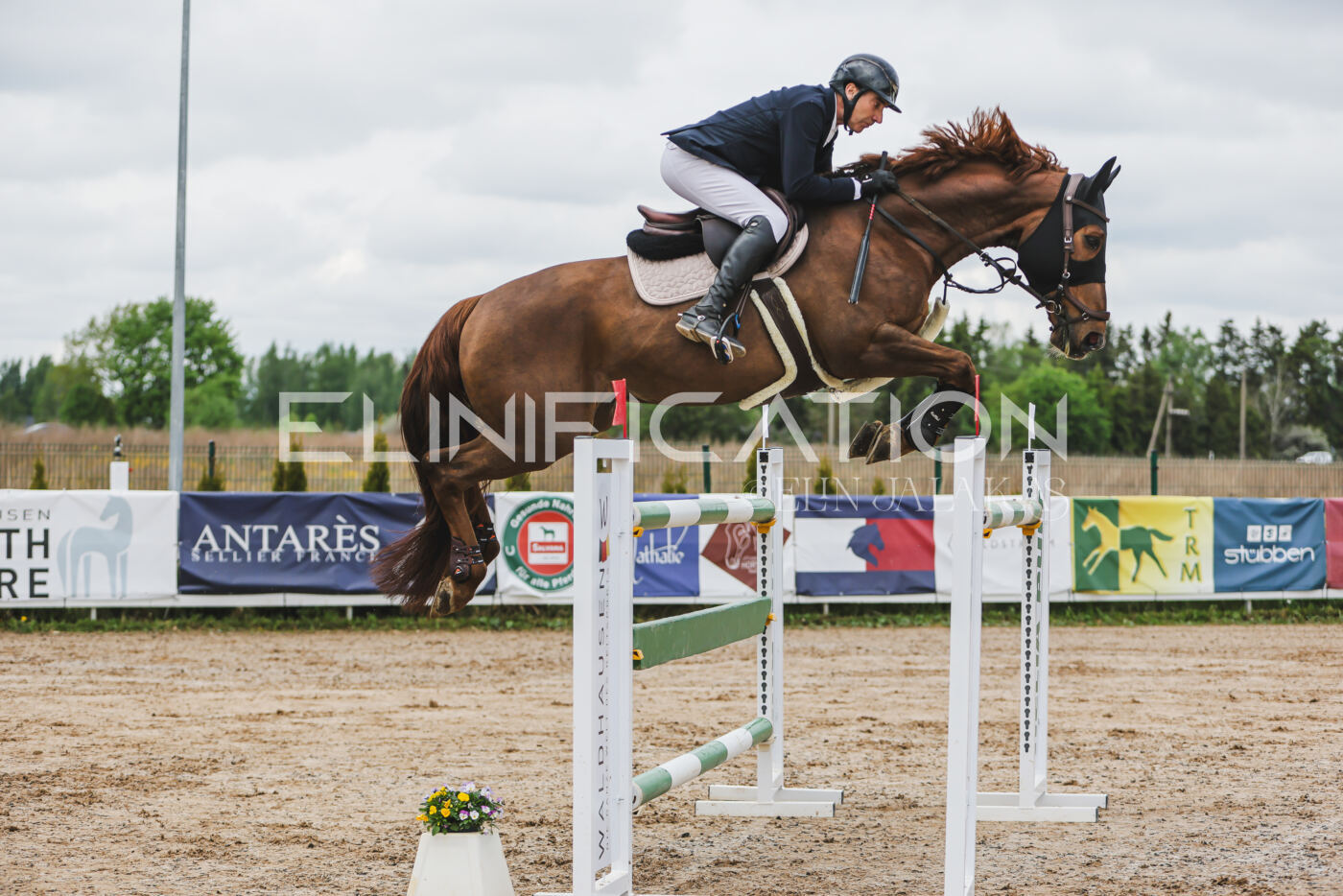 Gramina_Kevad_2026_140_028