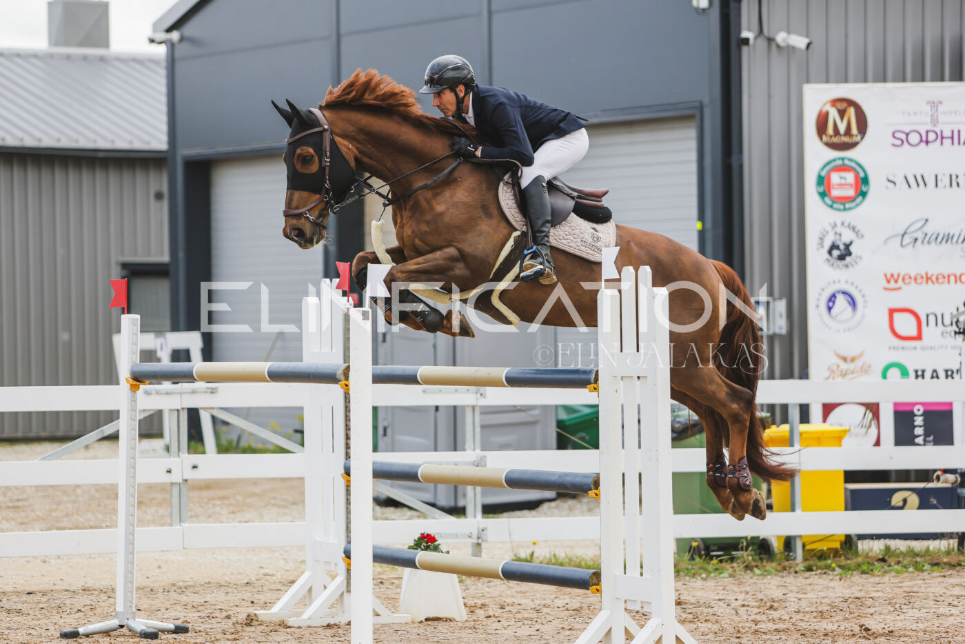 Gramina_Kevad_2026_140_030