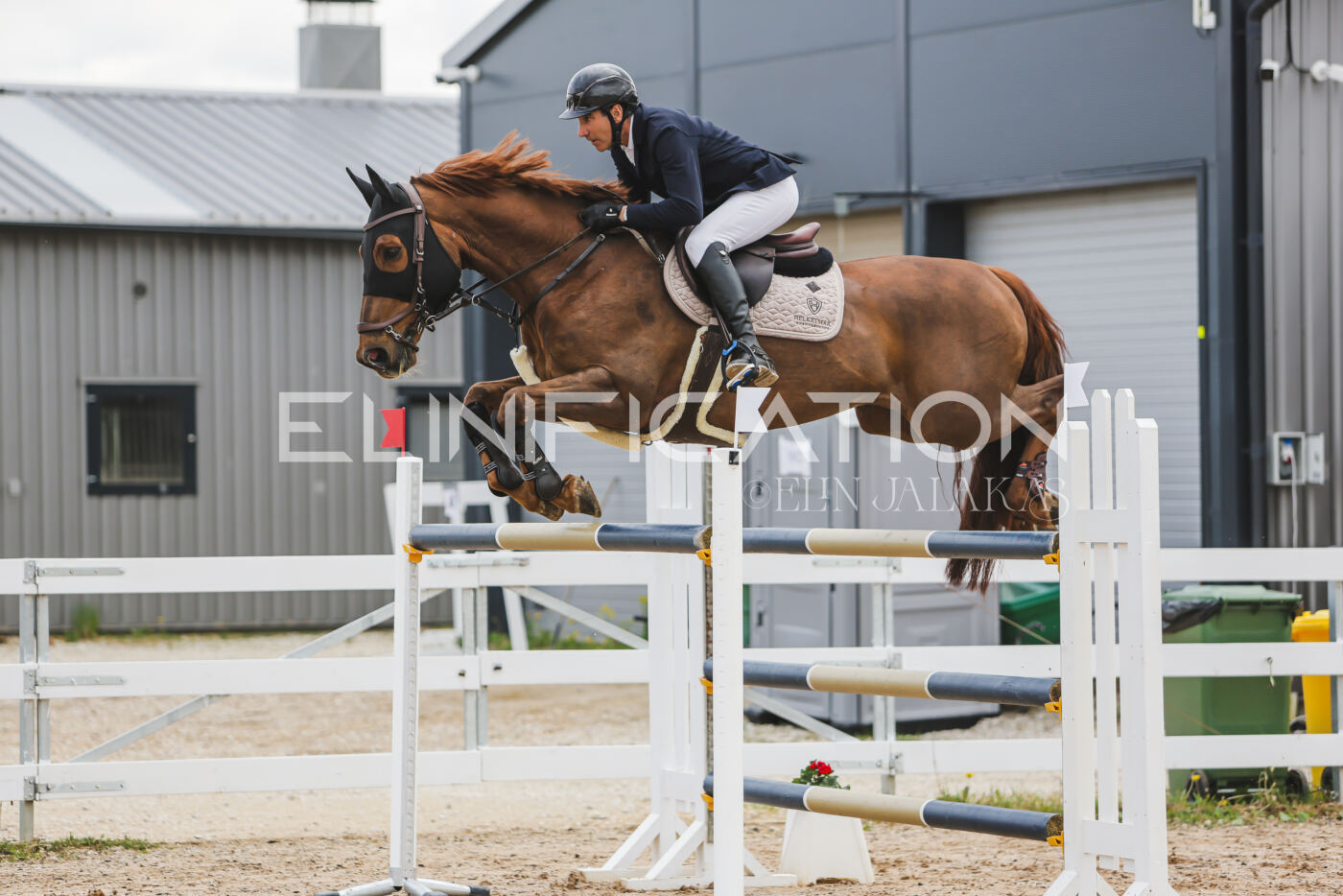 Gramina_Kevad_2026_140_033