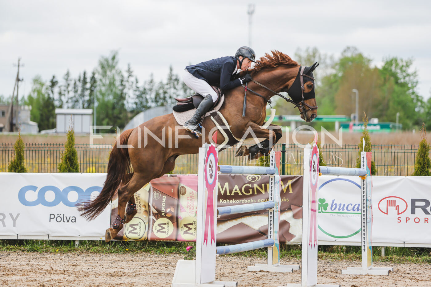Gramina_Kevad_2026_140_037