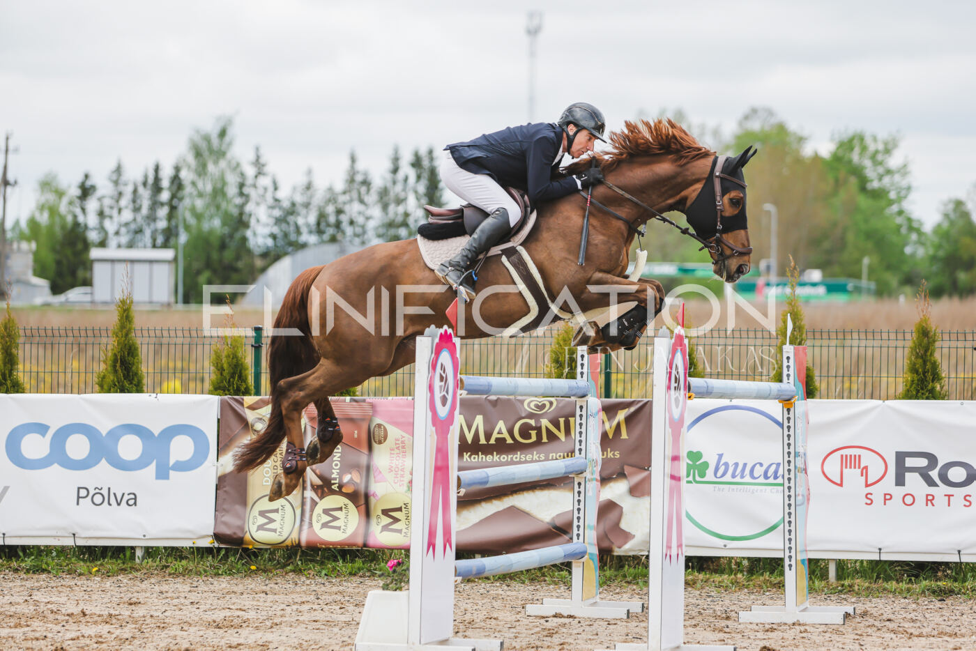Gramina_Kevad_2026_140_038