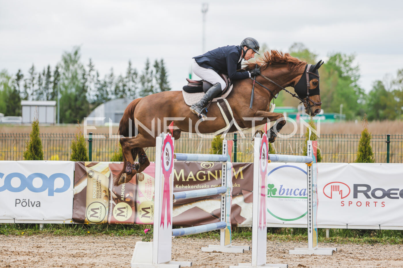 Gramina_Kevad_2026_140_039