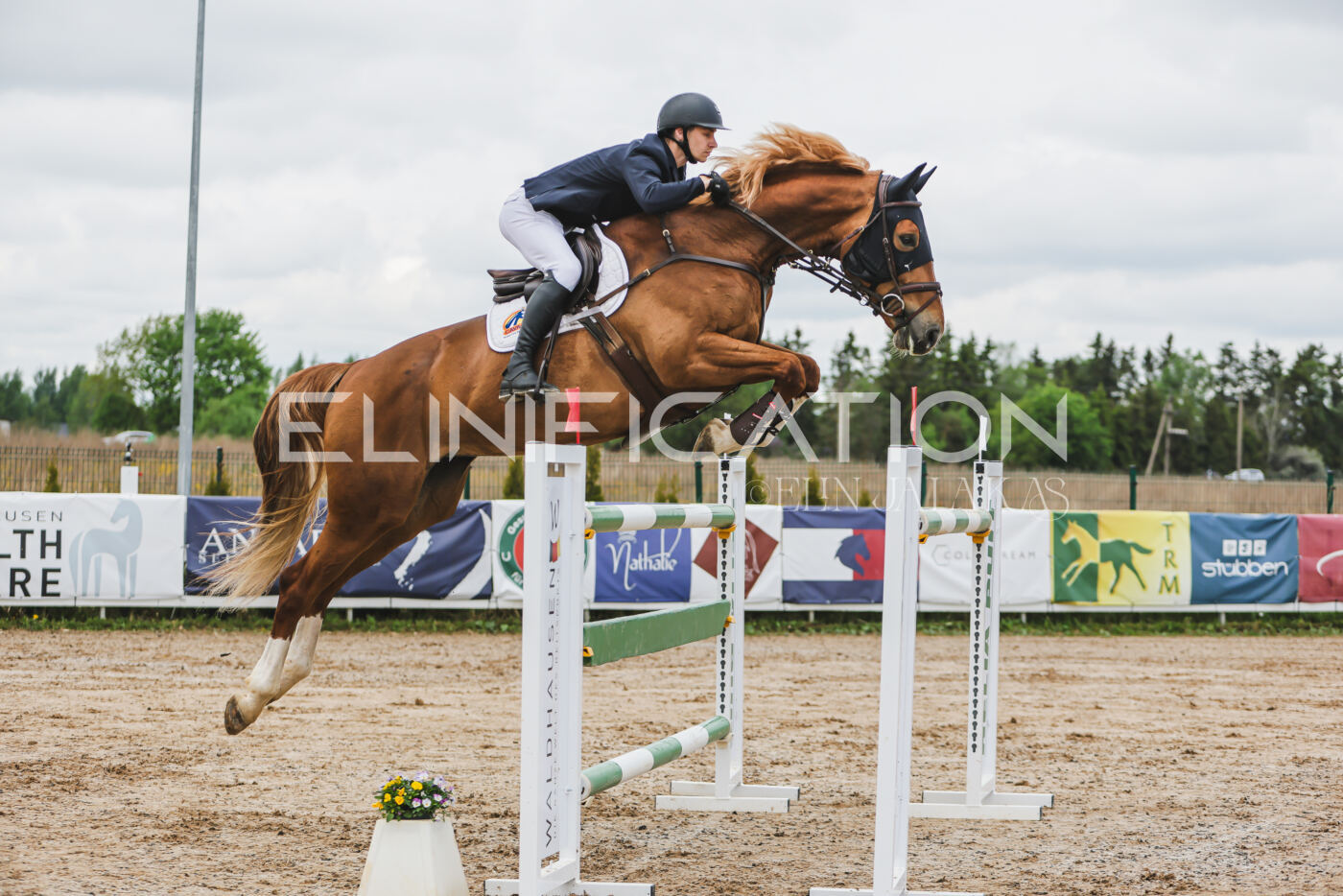 Gramina_Kevad_2026_140_041