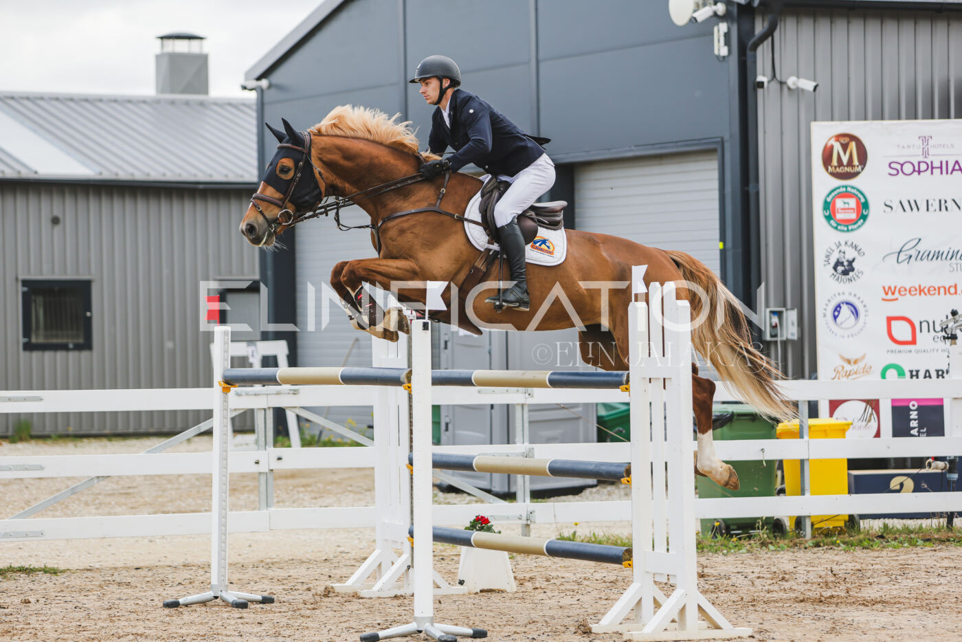 Gramina_Kevad_2026_140_044