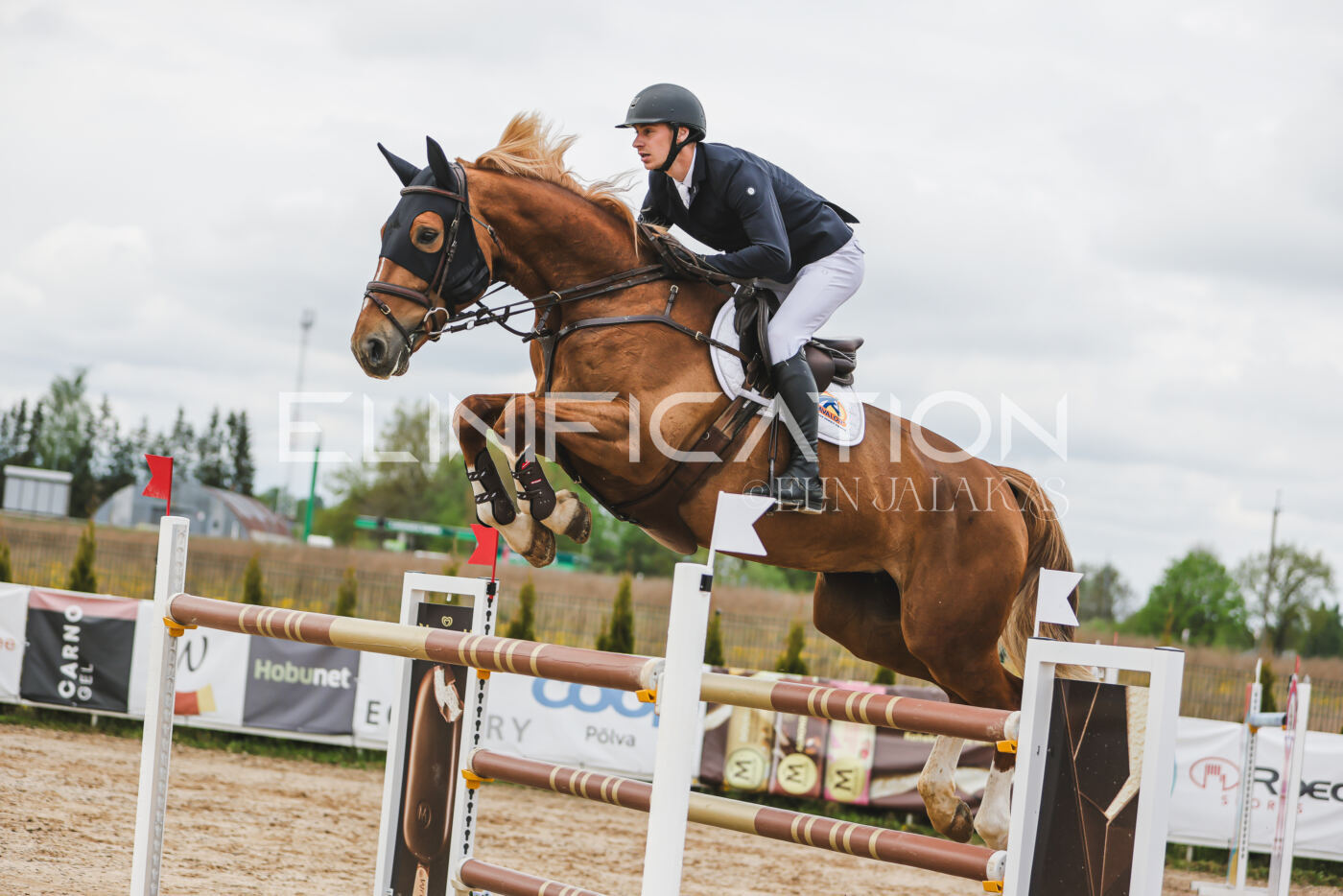 Gramina_Kevad_2026_140_047
