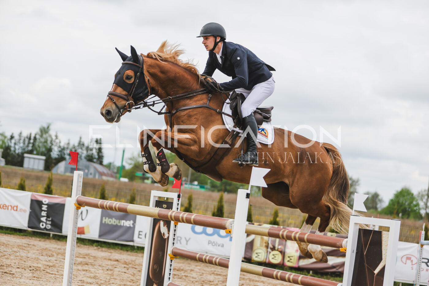 Gramina_Kevad_2026_140_048