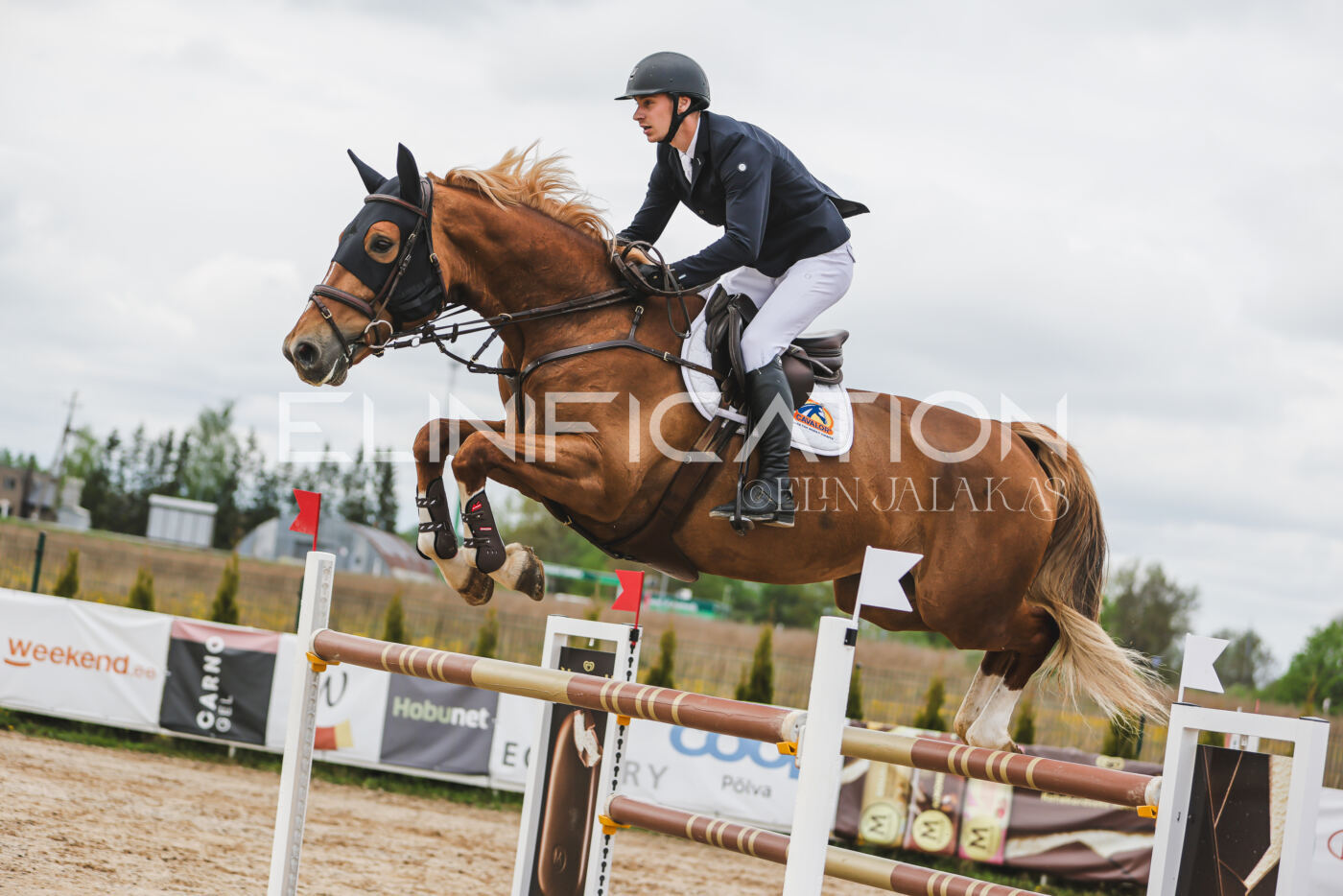 Gramina_Kevad_2026_140_049
