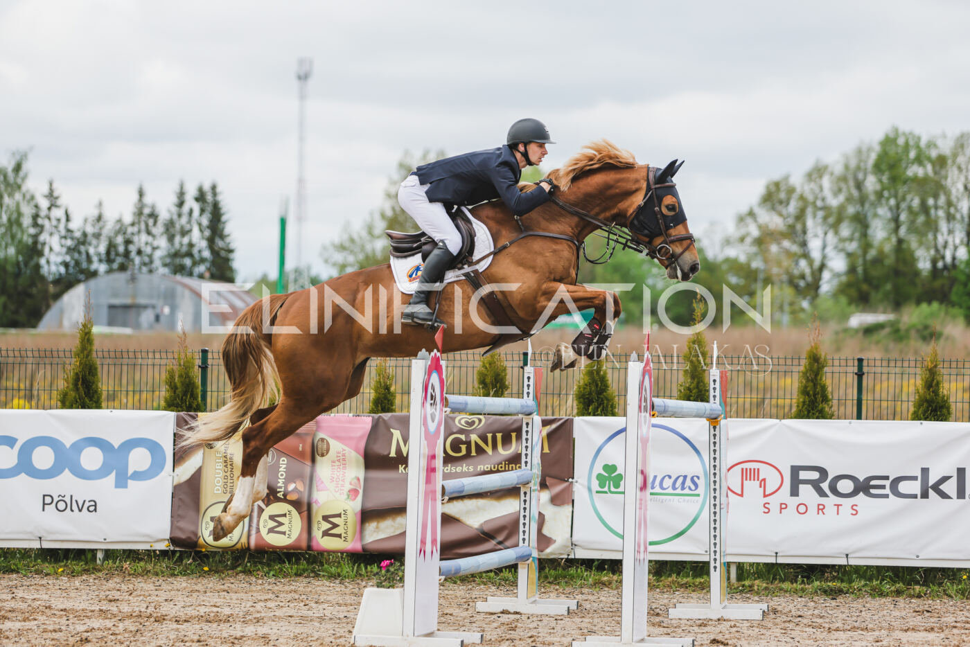Gramina_Kevad_2026_140_051