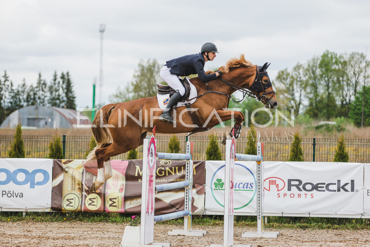 Gramina_Kevad_2026_140_052