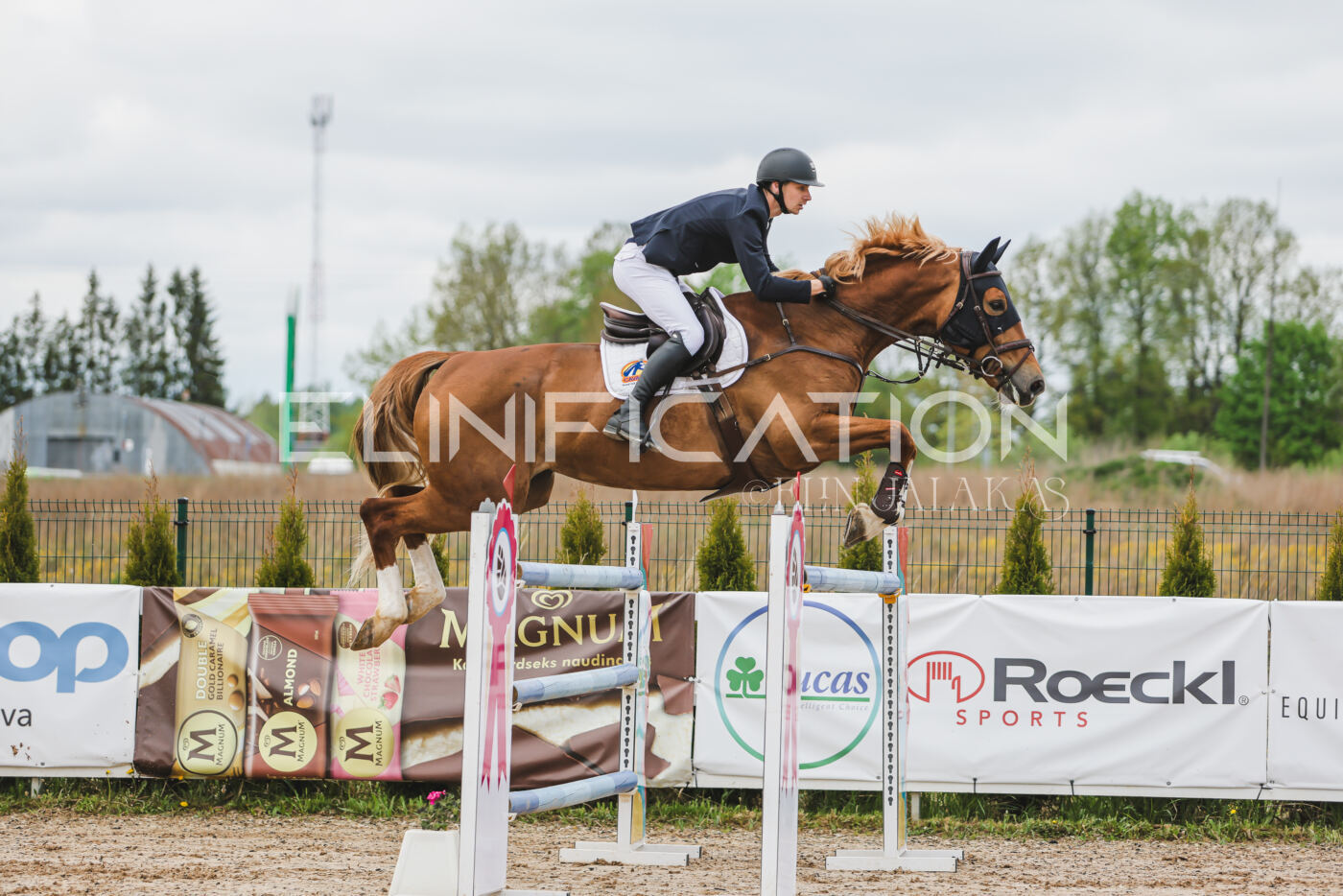 Gramina_Kevad_2026_140_053