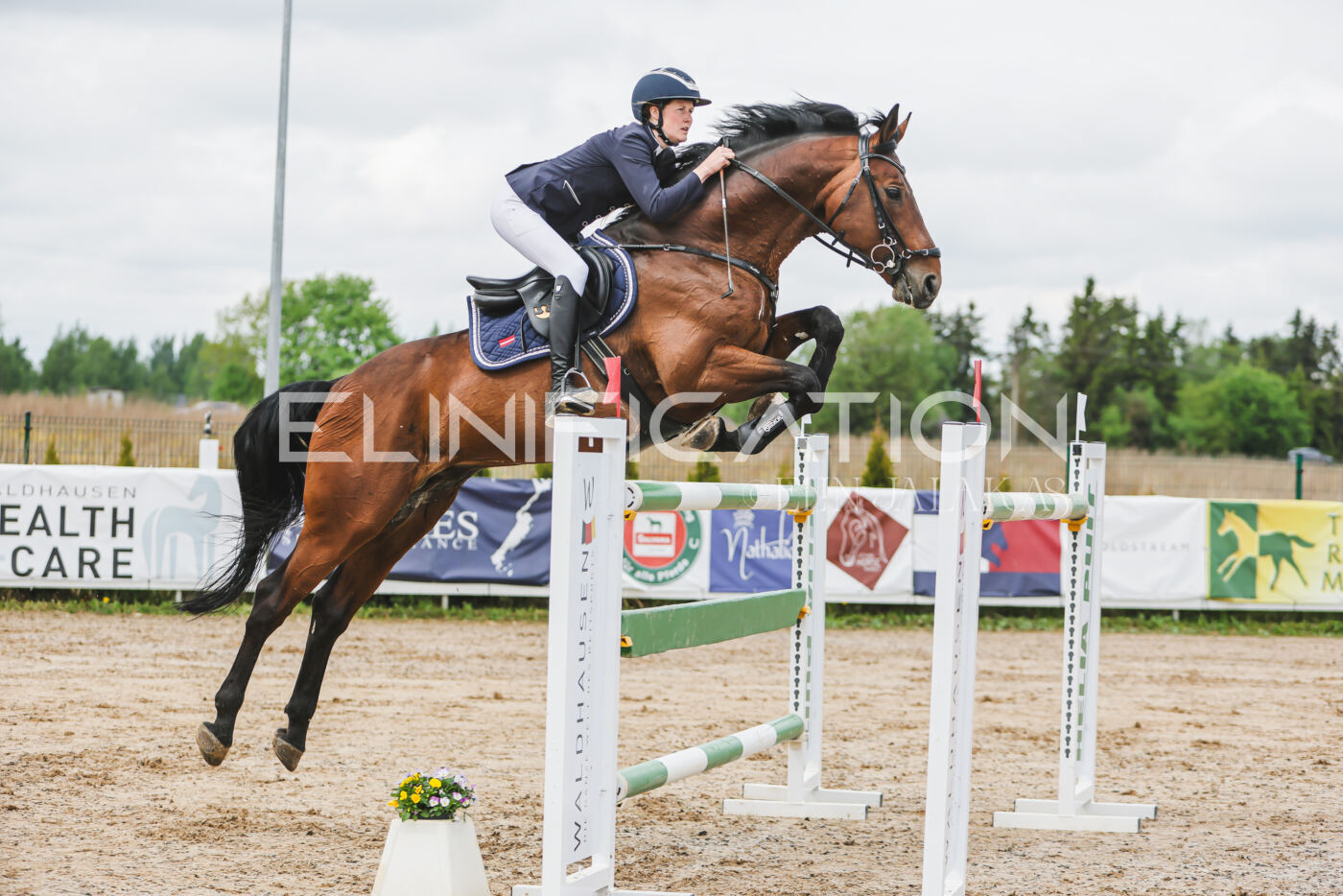 Gramina_Kevad_2026_140_054