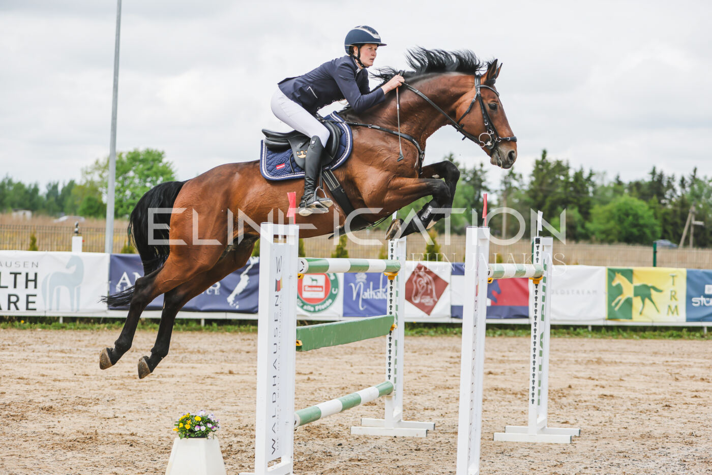 Gramina_Kevad_2026_140_055