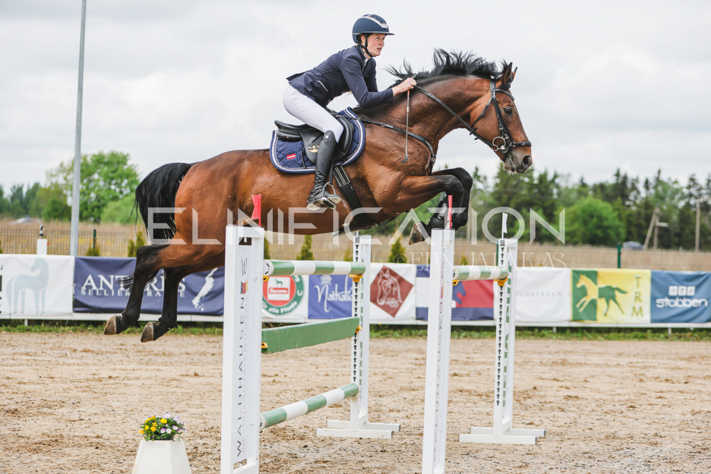 Gramina_Kevad_2026_140_056