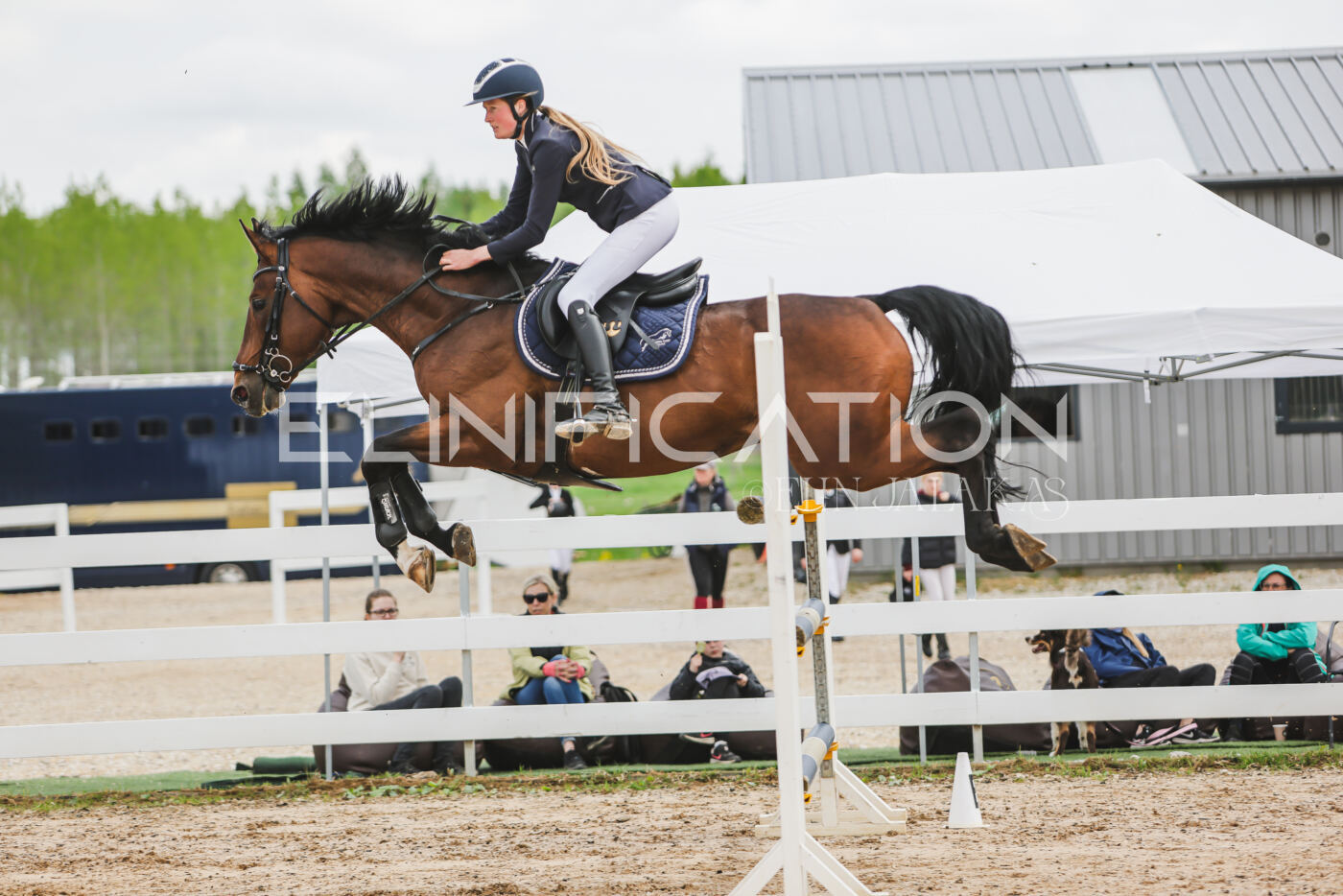 Gramina_Kevad_2026_140_066