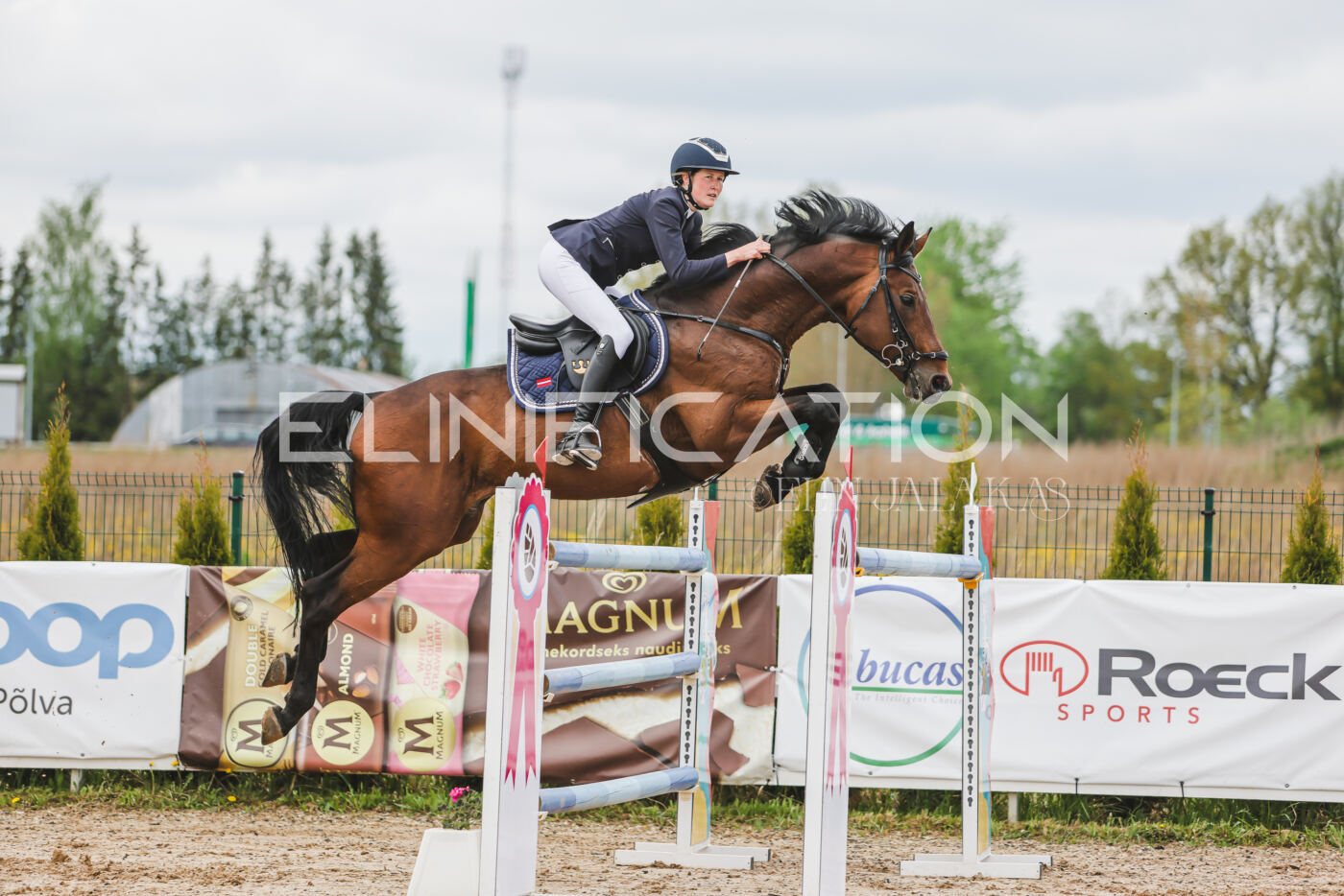 Gramina_Kevad_2026_140_073
