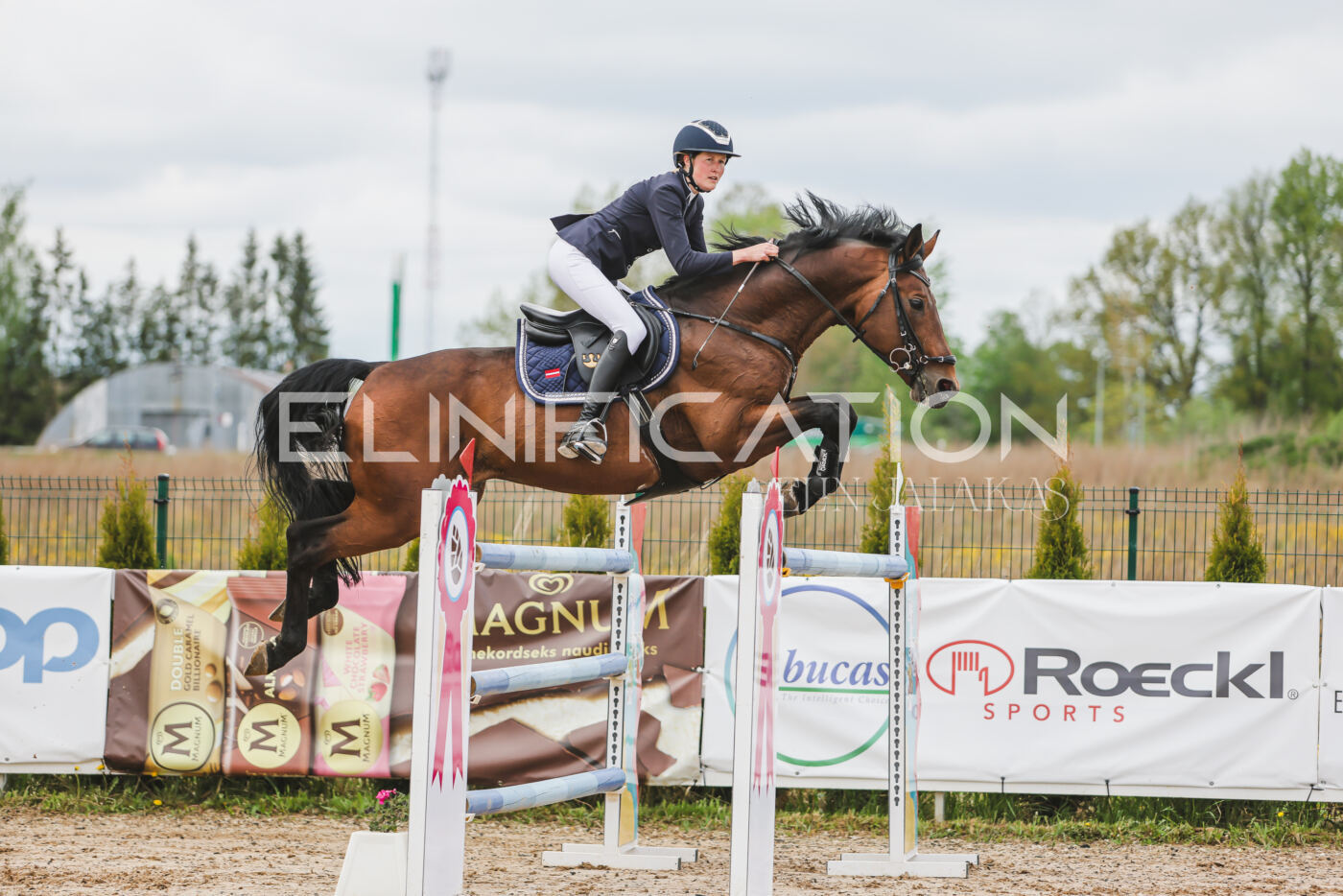 Gramina_Kevad_2026_140_074
