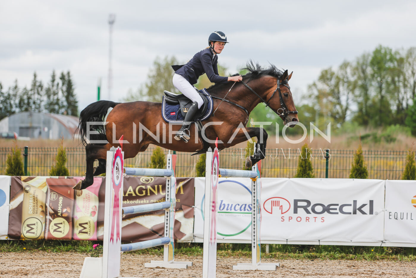 Gramina_Kevad_2026_140_075