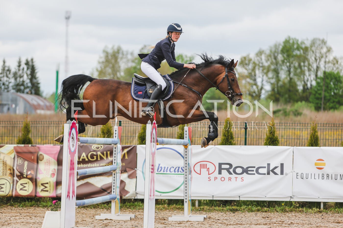 Gramina_Kevad_2026_140_076