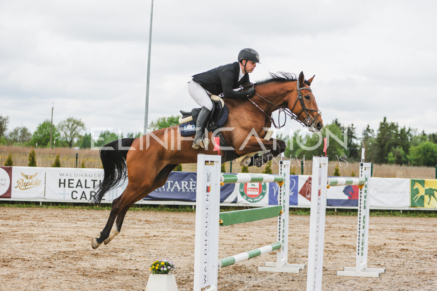 Gramina_Kevad_2026_140_078