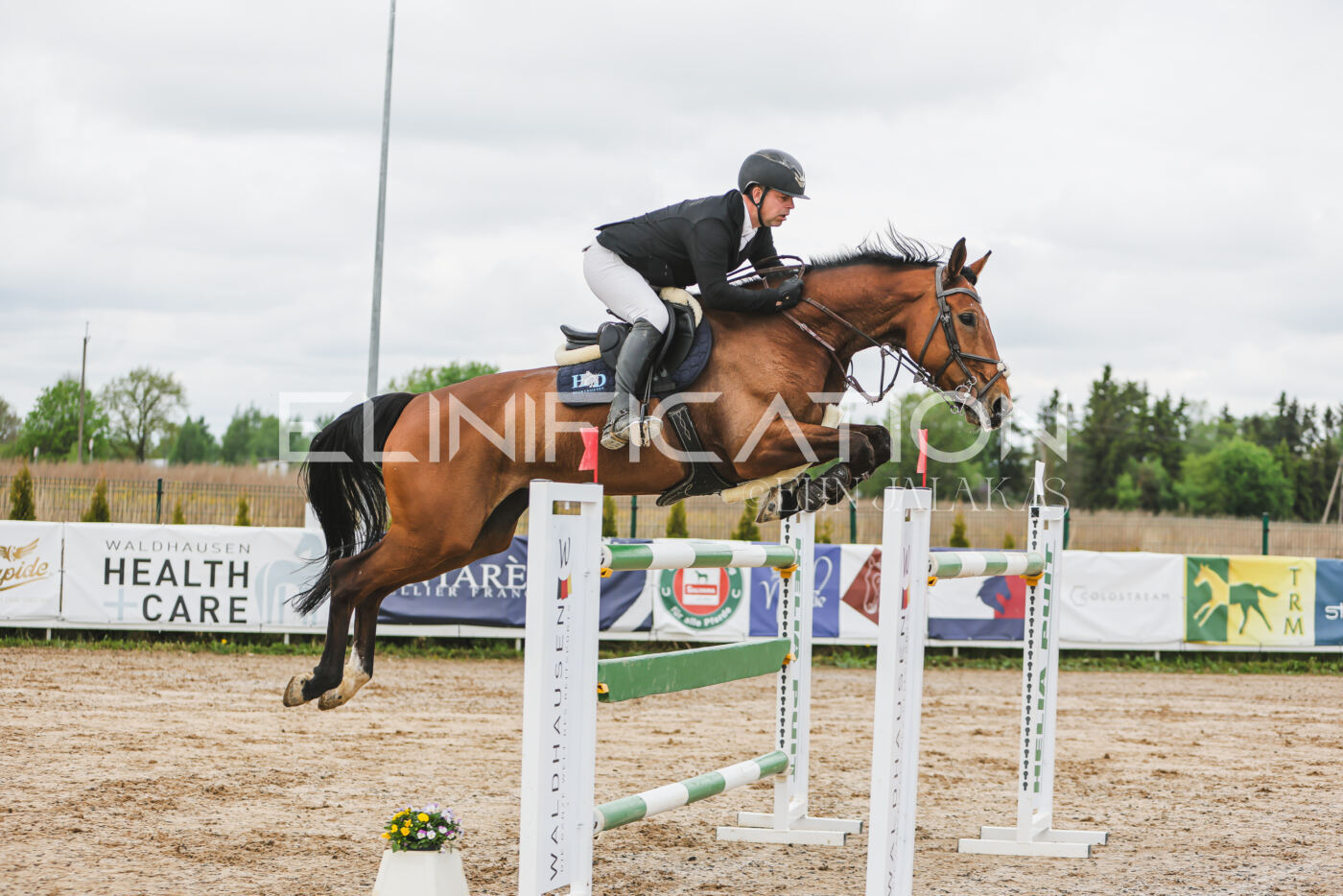 Gramina_Kevad_2026_140_079