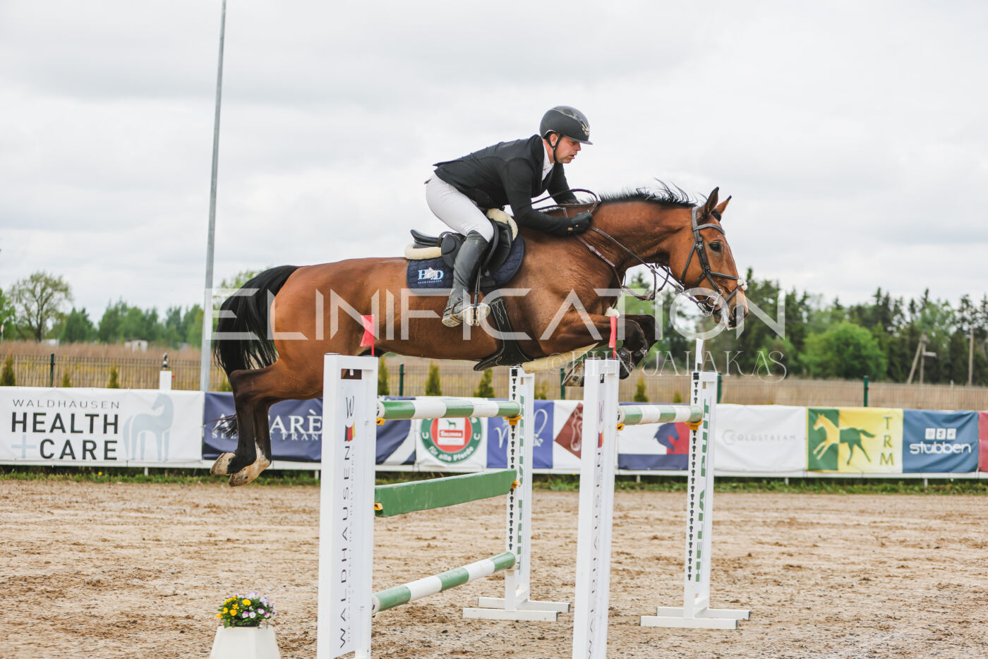 Gramina_Kevad_2026_140_080