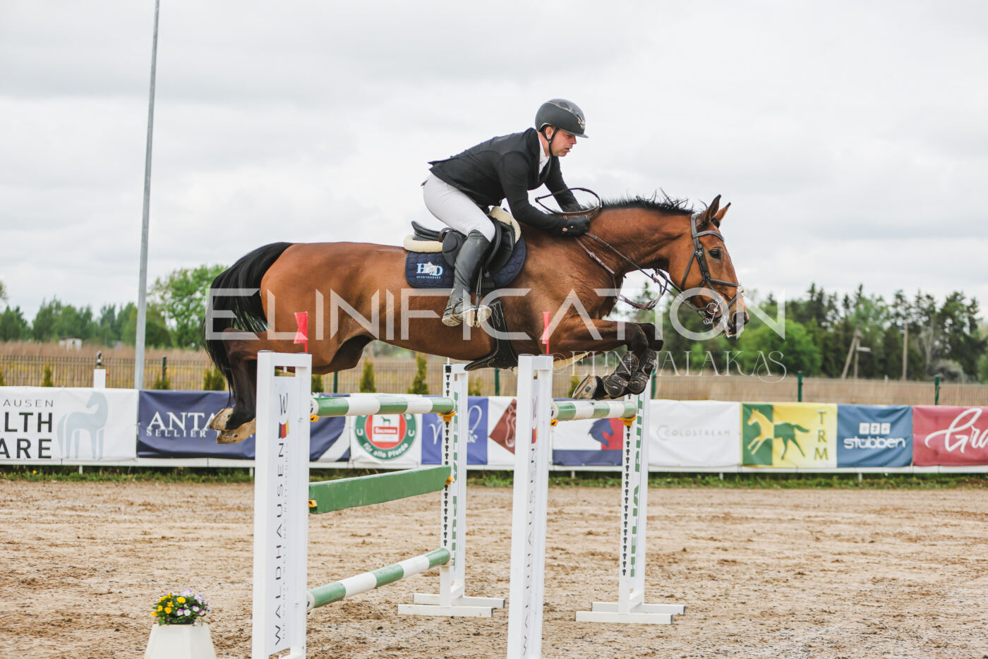 Gramina_Kevad_2026_140_081