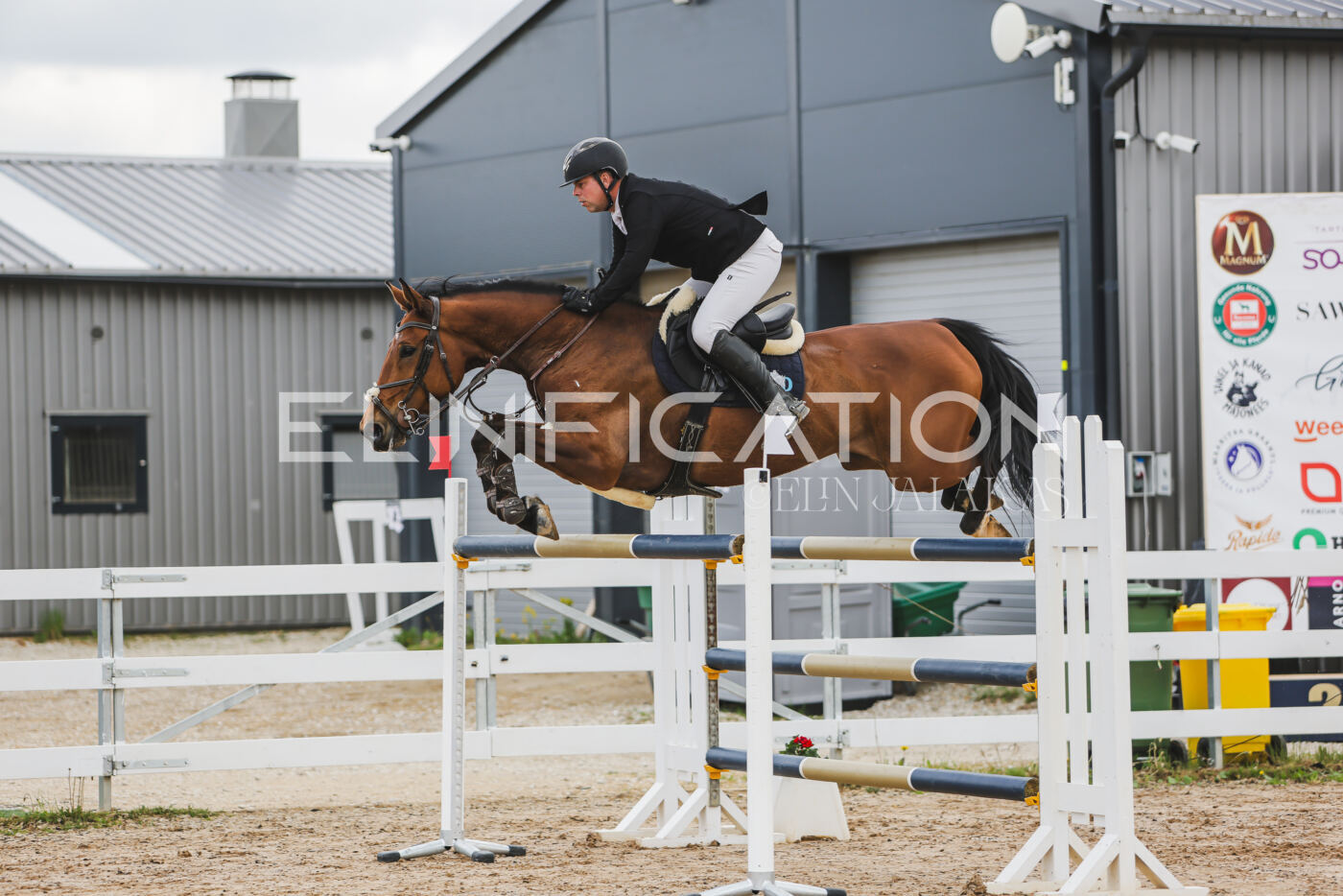 Gramina_Kevad_2026_140_087