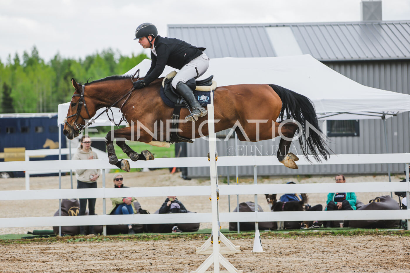 Gramina_Kevad_2026_140_092