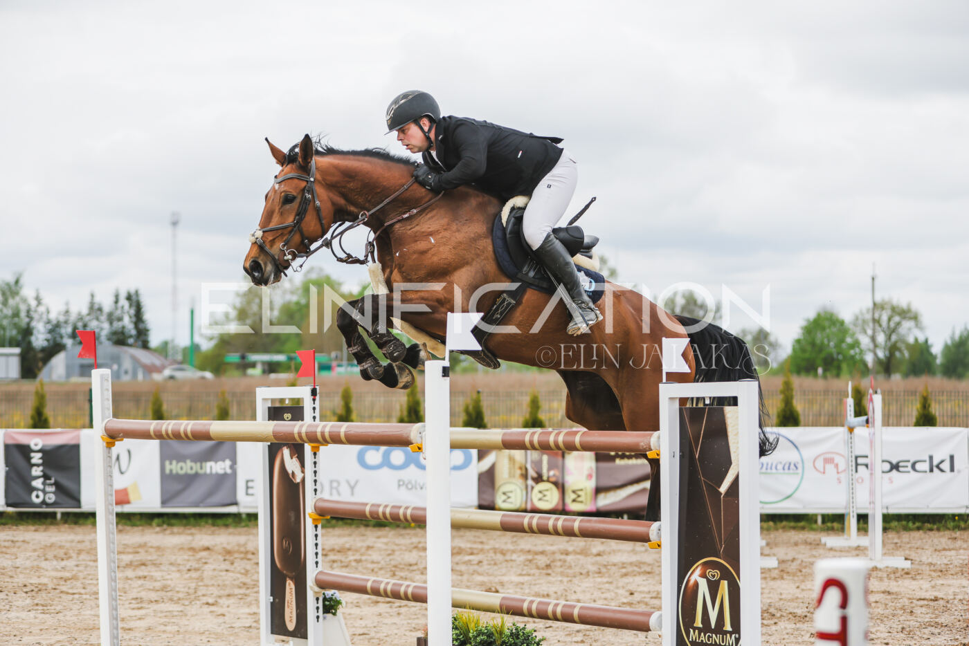 Gramina_Kevad_2026_140_093