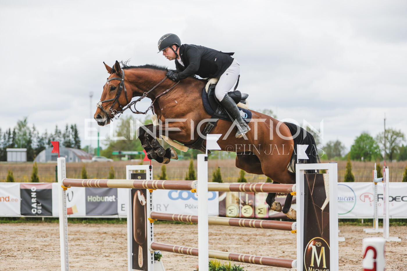 Gramina_Kevad_2026_140_094