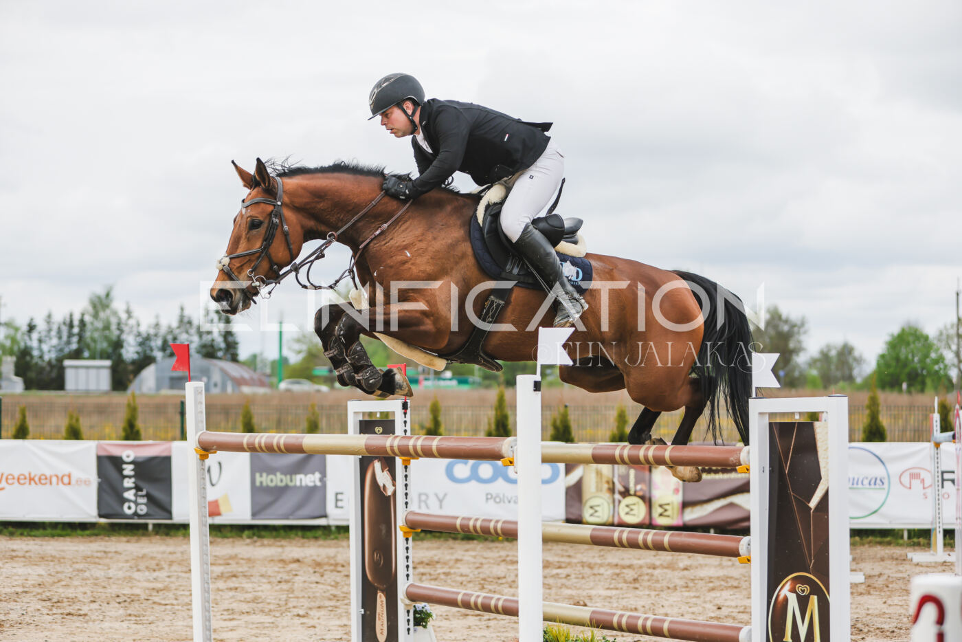 Gramina_Kevad_2026_140_095