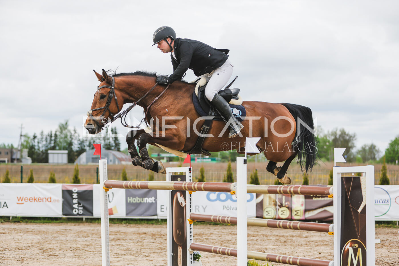 Gramina_Kevad_2026_140_096