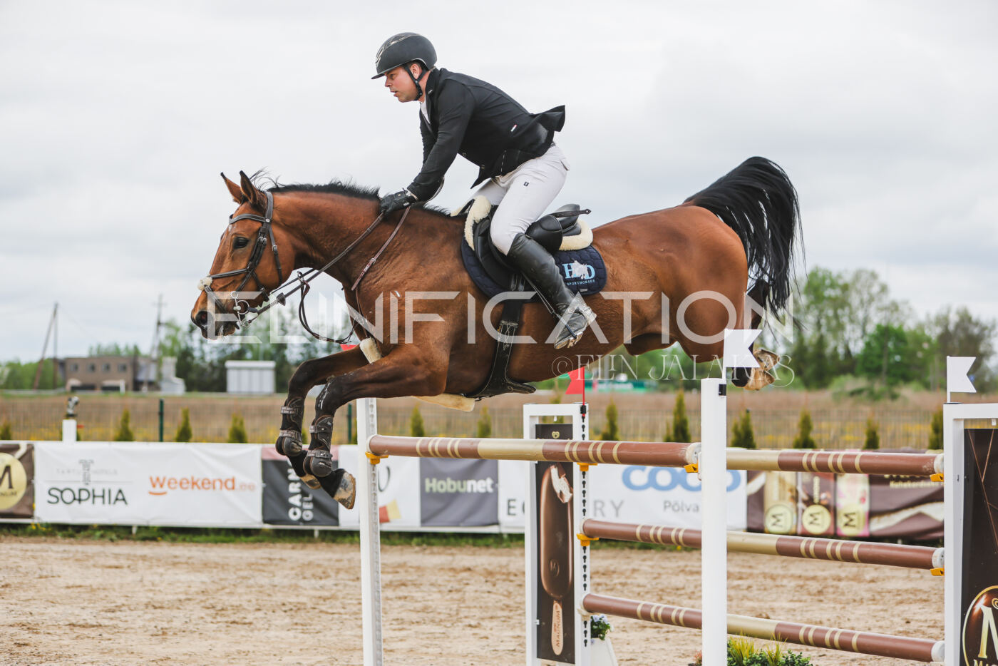 Gramina_Kevad_2026_140_098