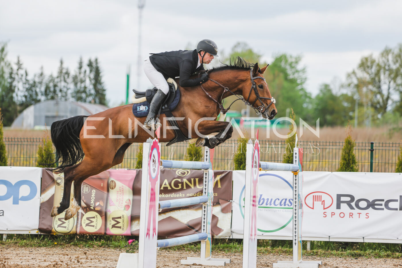 Gramina_Kevad_2026_140_099