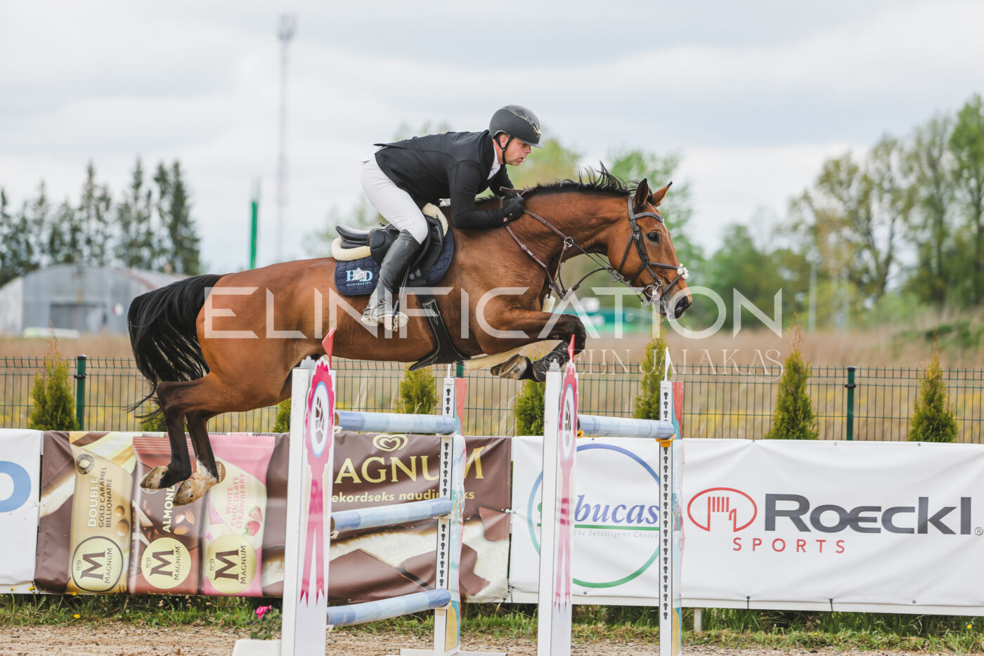 Gramina_Kevad_2026_140_100