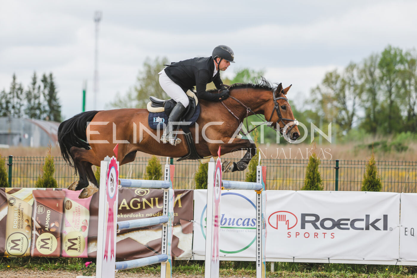 Gramina_Kevad_2026_140_101