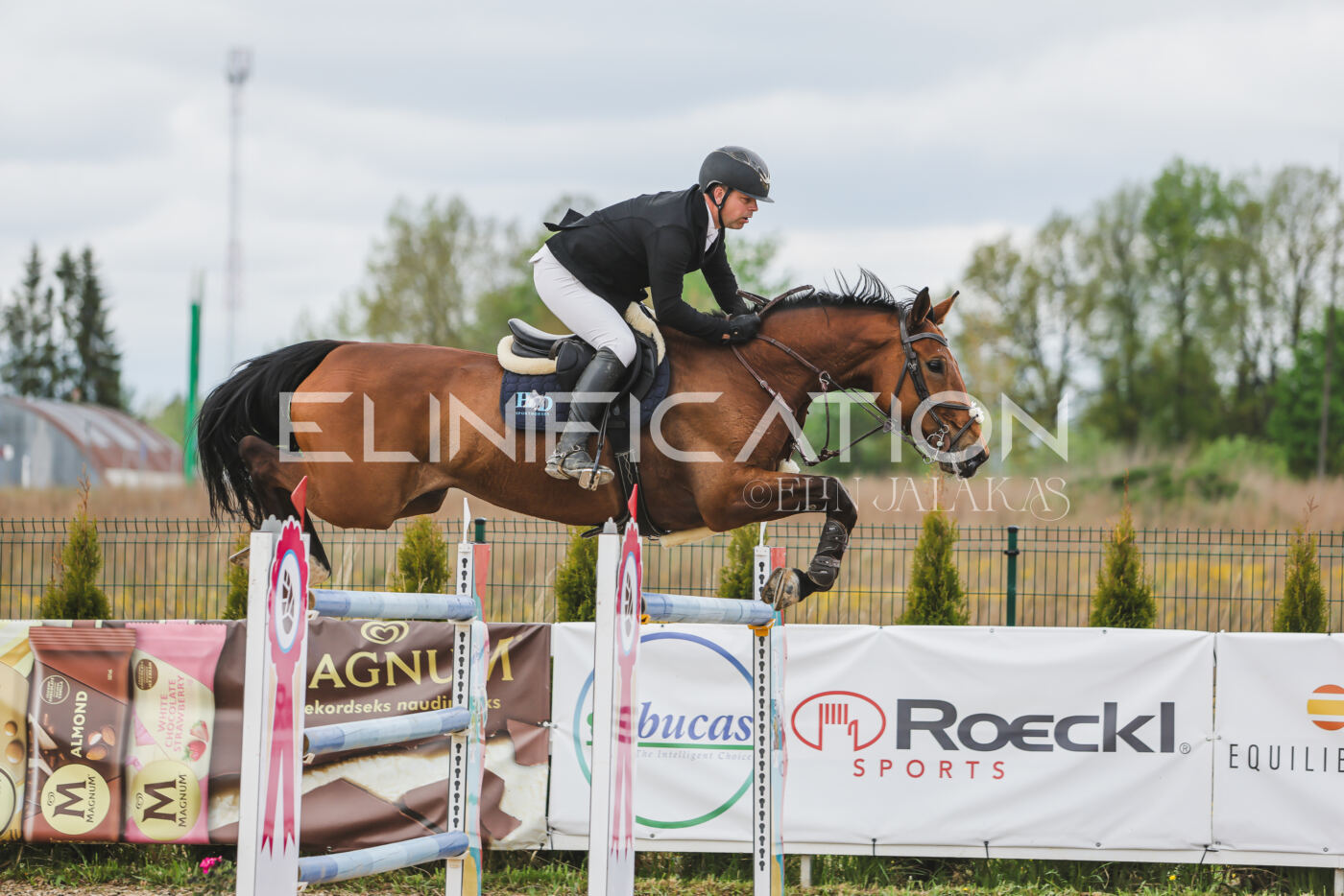 Gramina_Kevad_2026_140_102
