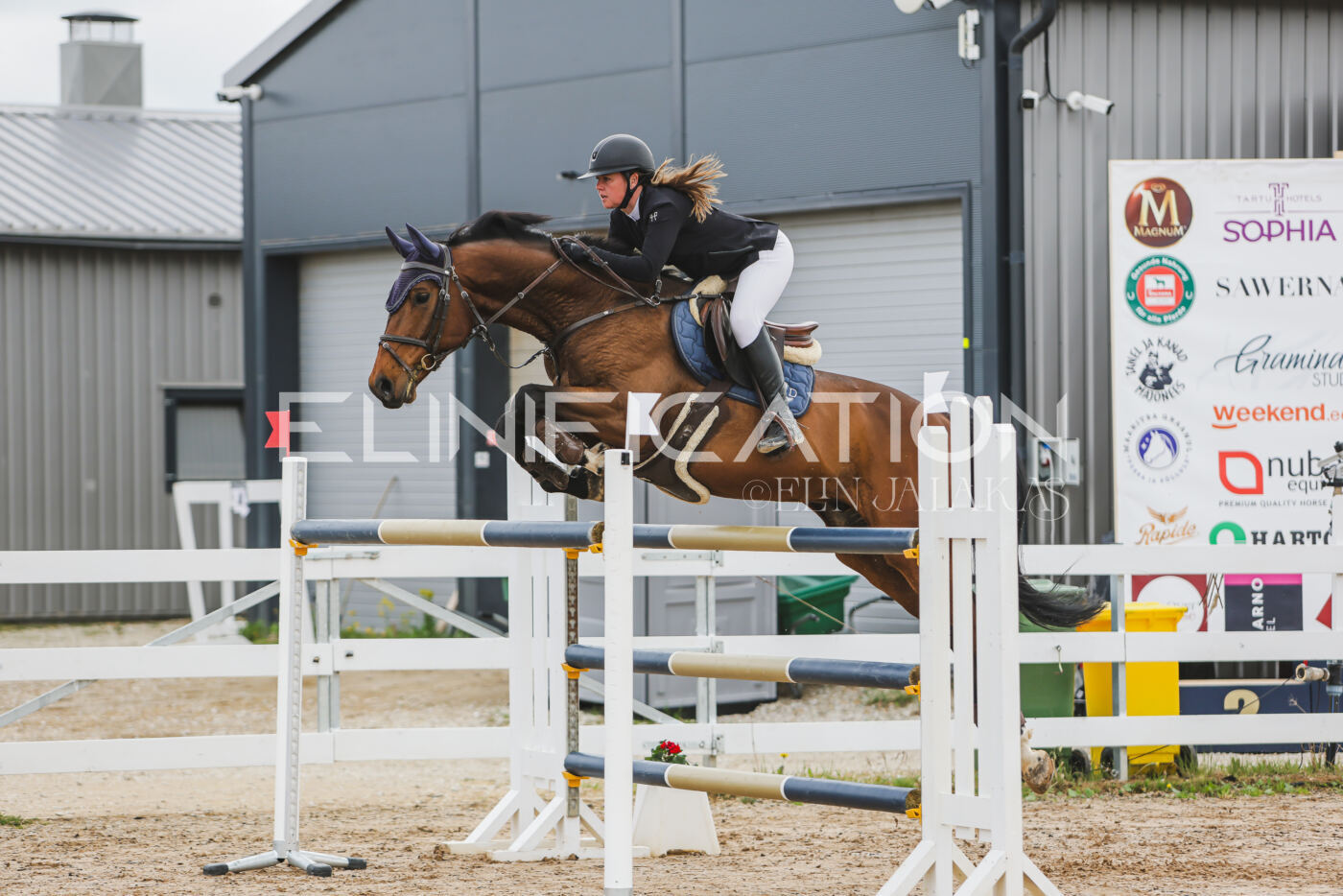 Gramina_Kevad_2026_140_107