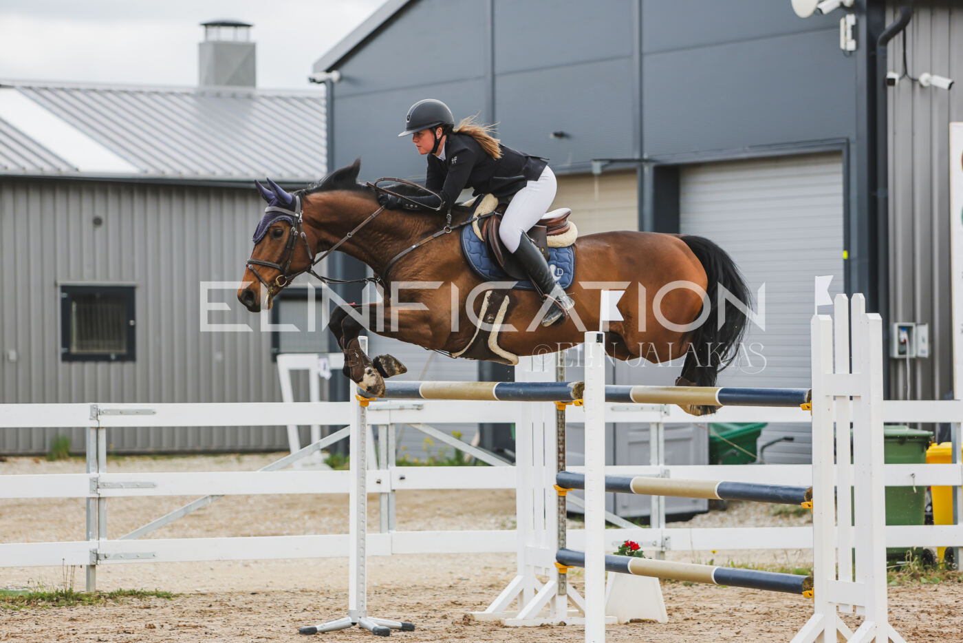 Gramina_Kevad_2026_140_110