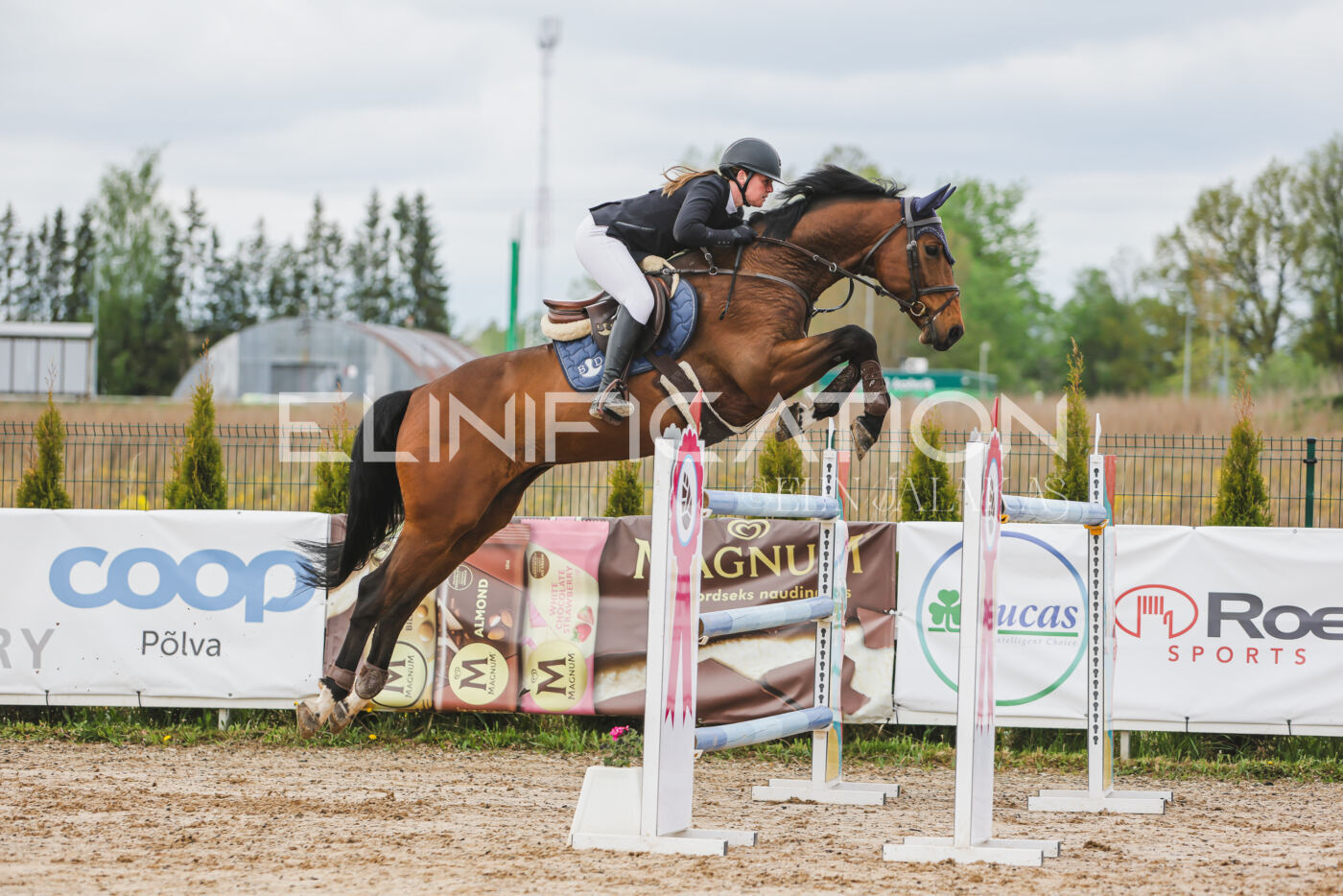 Gramina_Kevad_2026_140_115