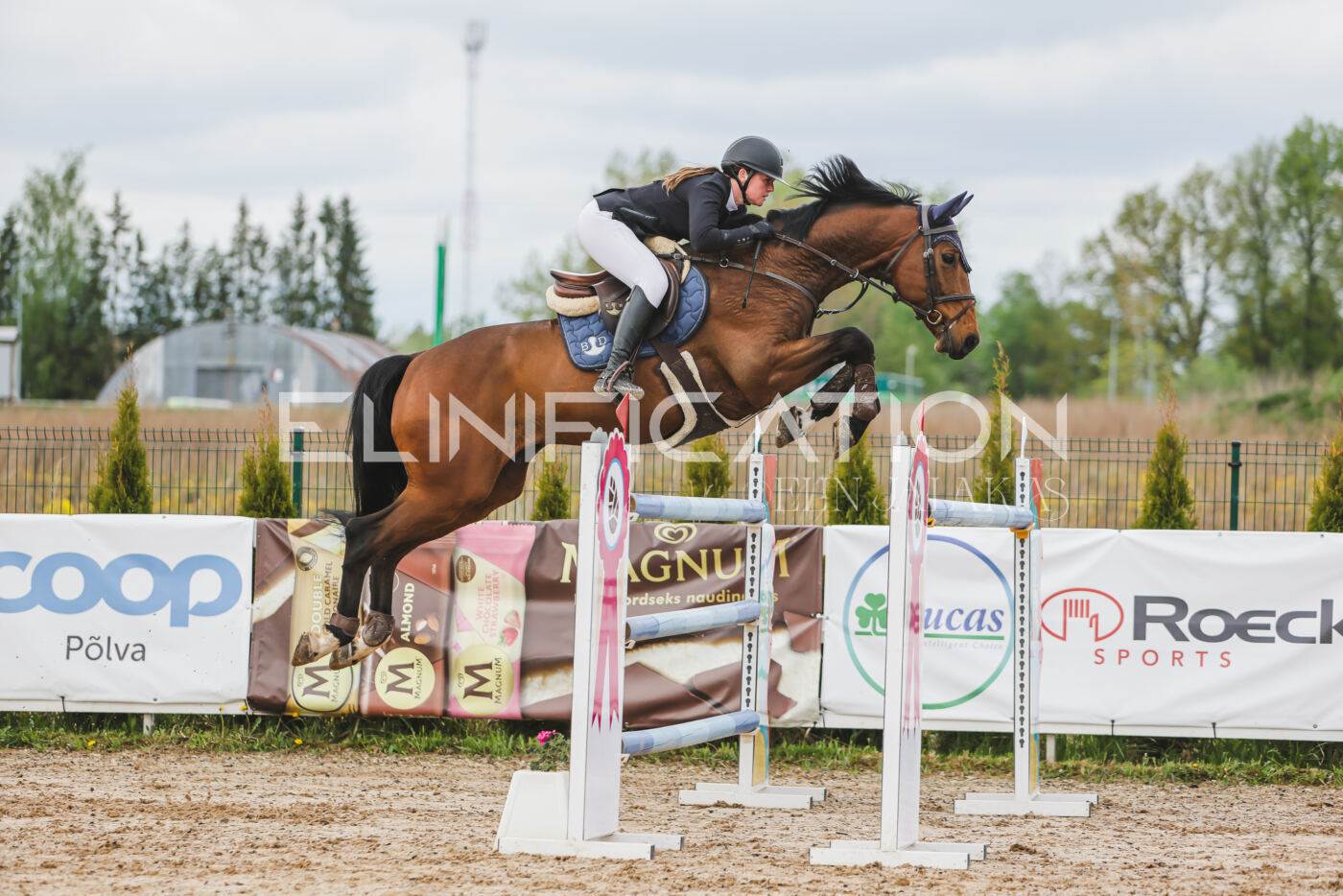 Gramina_Kevad_2026_140_116
