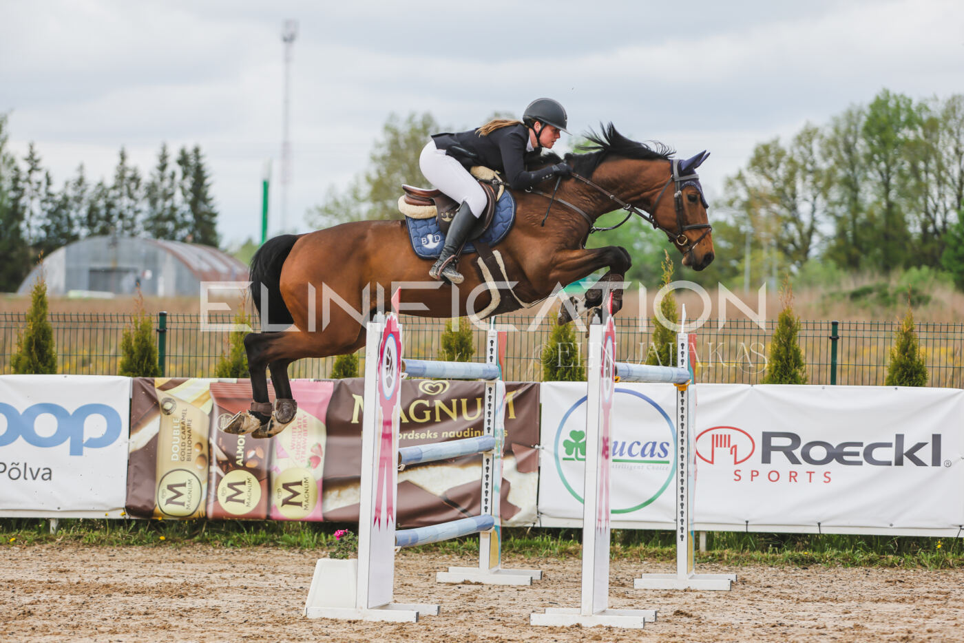 Gramina_Kevad_2026_140_117